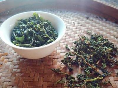 安溪鐵觀音 一杯清雅，品味千年茶韻