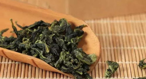 懂茶妹說茶 安溪鐵觀音的制作工藝與原理探秘